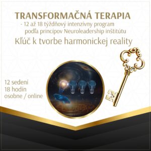 transformačná terapia